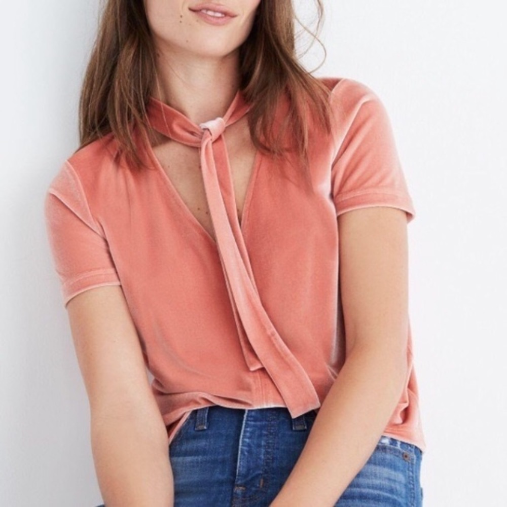 Madewell pink velvet crop top